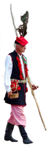 Kosinier